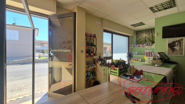 locale commerciale in affitto a Capannori in zona Marlia