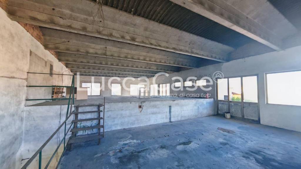 locale commerciale in affitto a Capannori