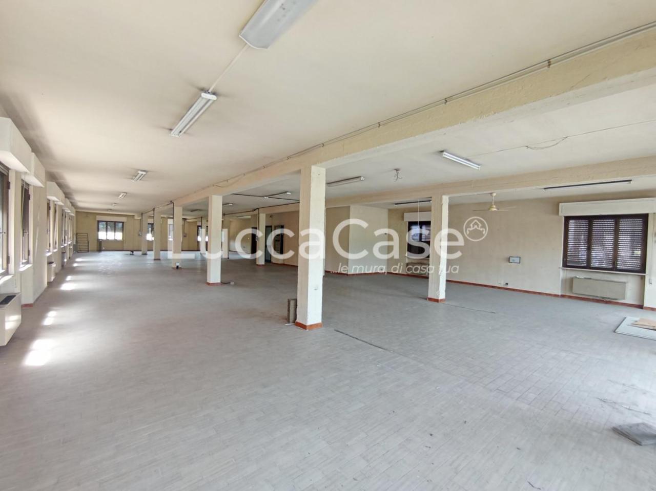 loft in affitto a Capannori