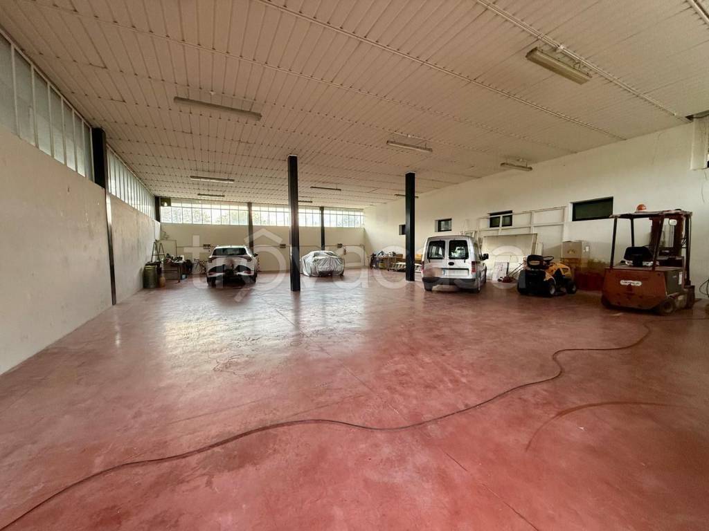 locale commerciale in affitto a Capannori