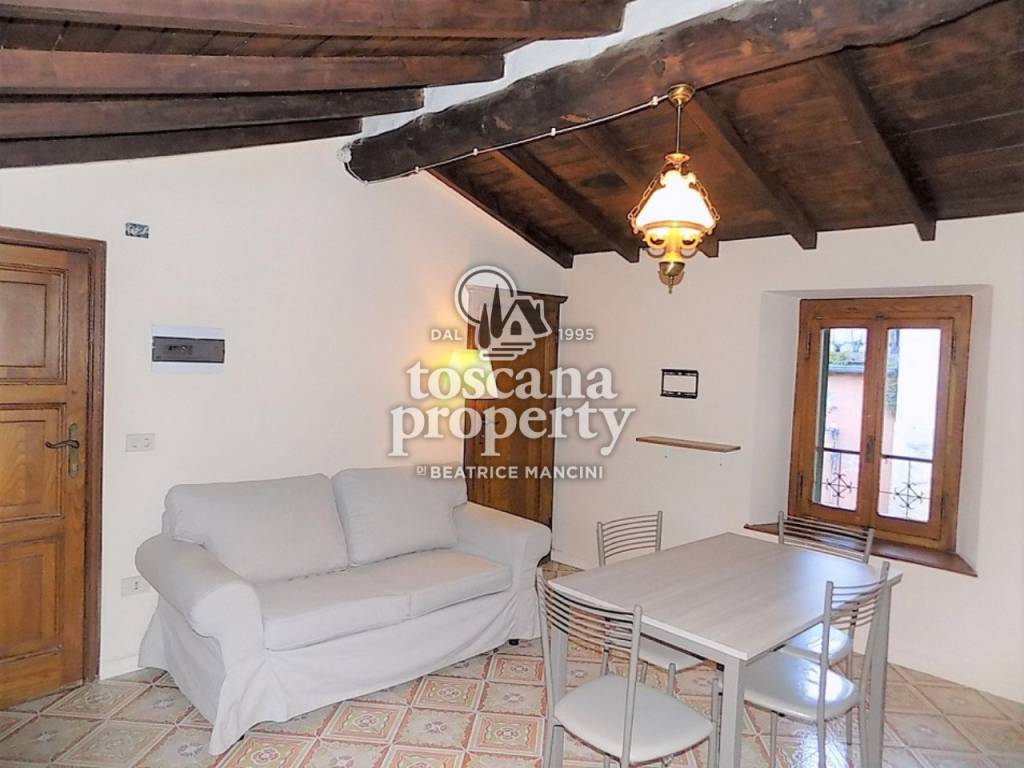 appartamento in affitto a Castelnuovo di Garfagnana