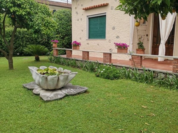casa indipendente in affitto a Forte dei Marmi in zona Vittoria Apuana