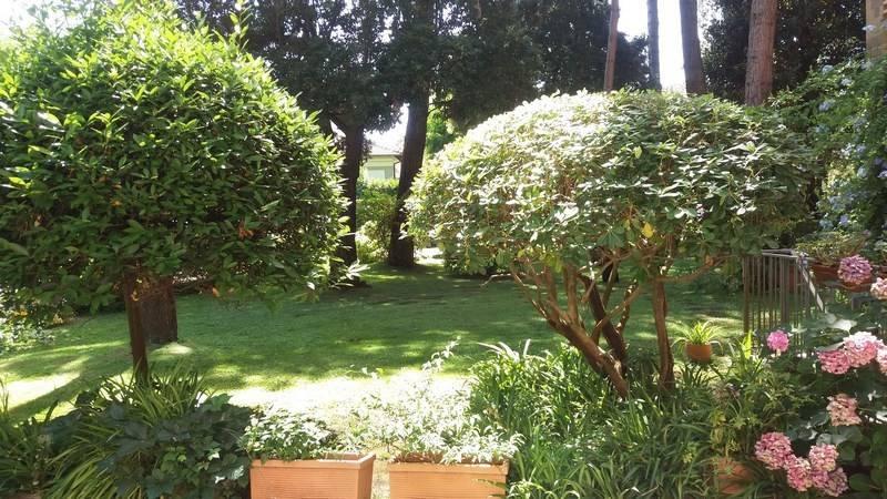 appartamento in affitto a Forte dei Marmi