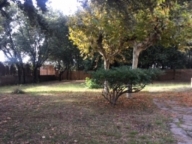 casa indipendente in affitto a Forte dei Marmi