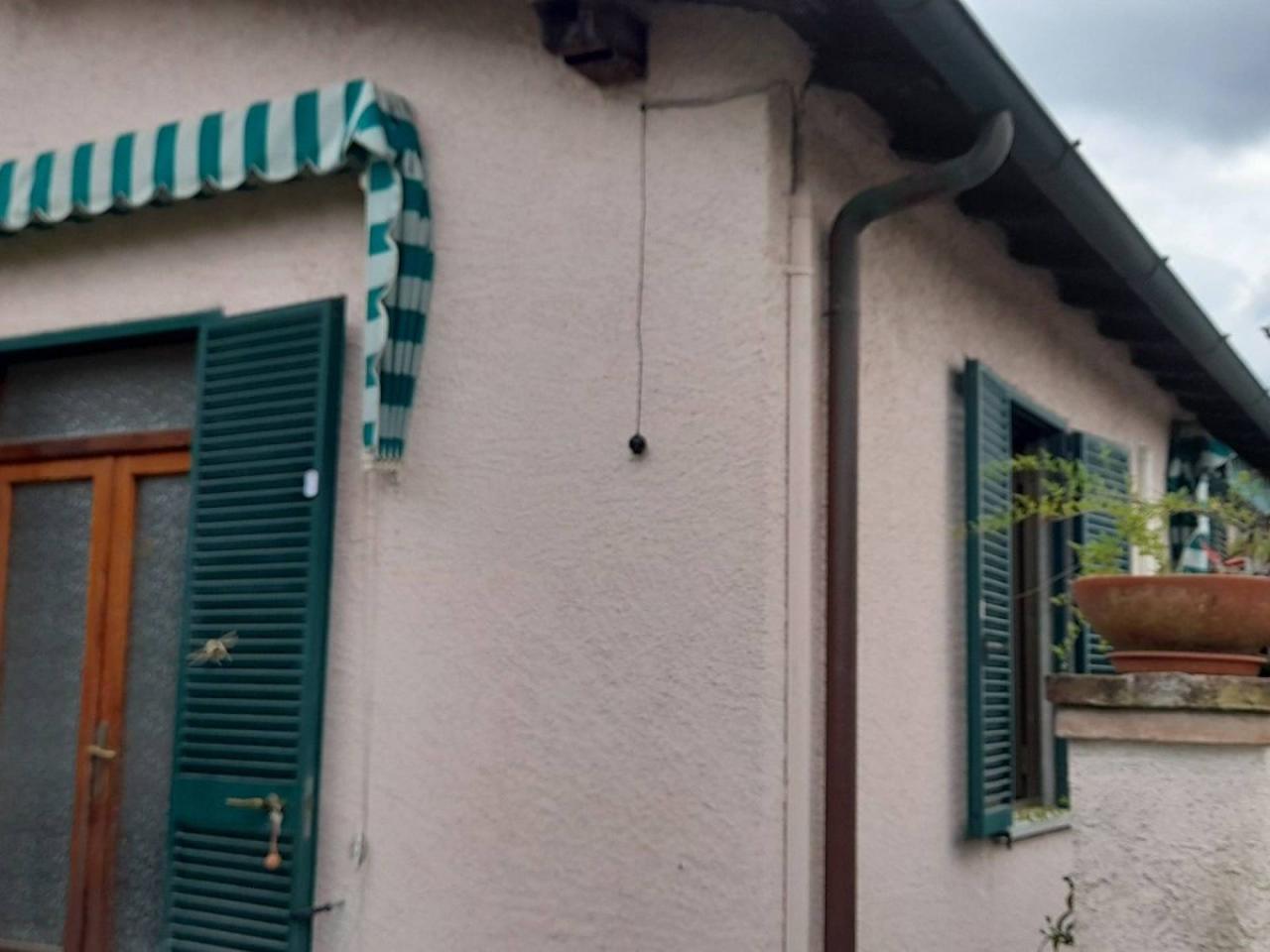 casa indipendente in affitto a Forte dei Marmi in zona Vittoria Apuana