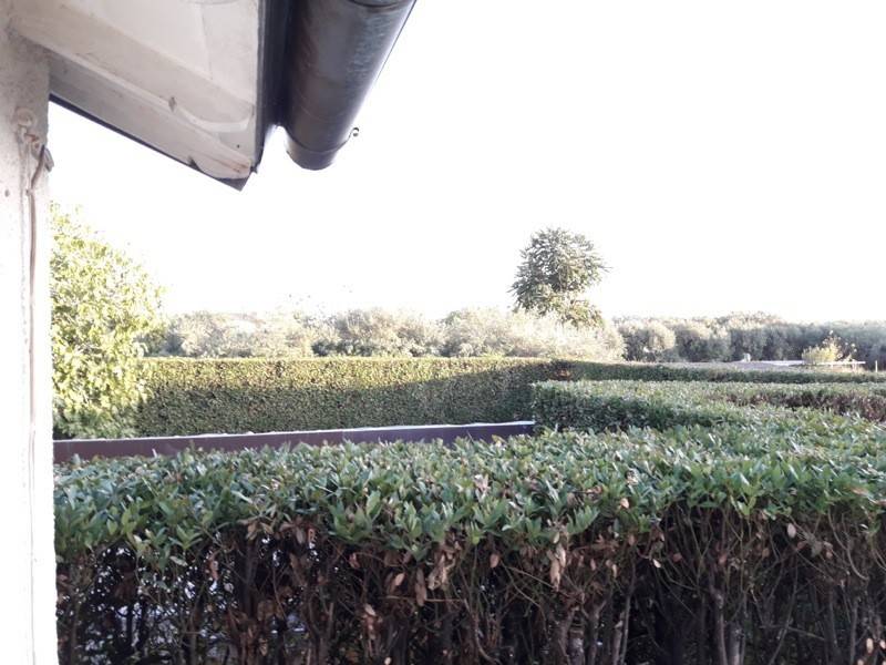 casa indipendente in affitto a Forte dei Marmi