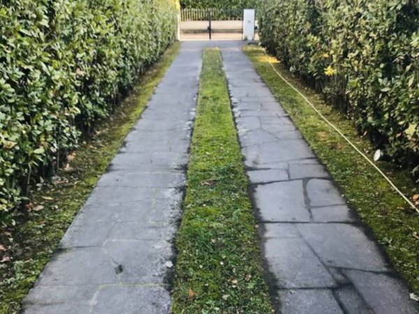 casa indipendente in affitto a Forte dei Marmi