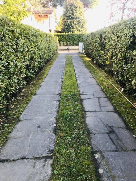 casa indipendente in affitto a Forte dei Marmi