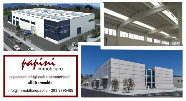 locale commerciale in affitto a Forte dei Marmi