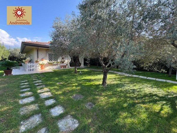 casa indipendente in affitto a Forte dei Marmi