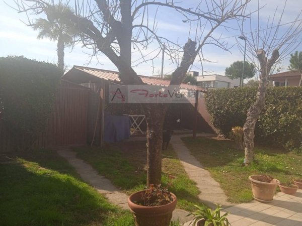 casa indipendente in affitto a Forte dei Marmi