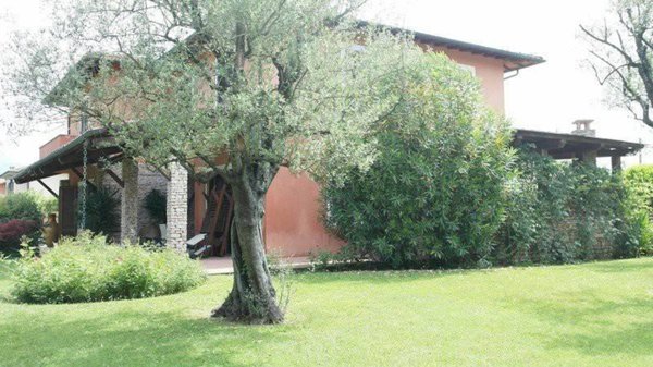 casa indipendente in affitto a Forte dei Marmi in zona Vittoria Apuana