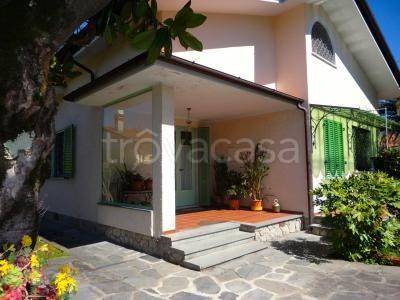 casa indipendente in affitto a Forte dei Marmi