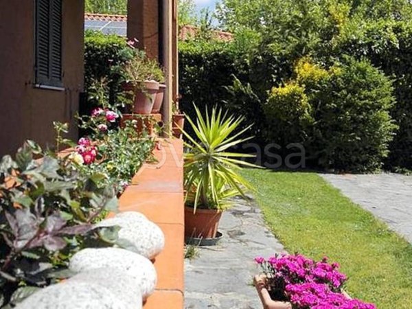 appartamento in affitto a Forte dei Marmi