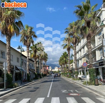 ufficio in affitto a Forte dei Marmi