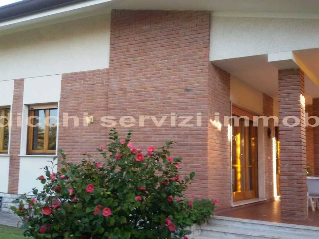 casa indipendente in affitto a Forte dei Marmi