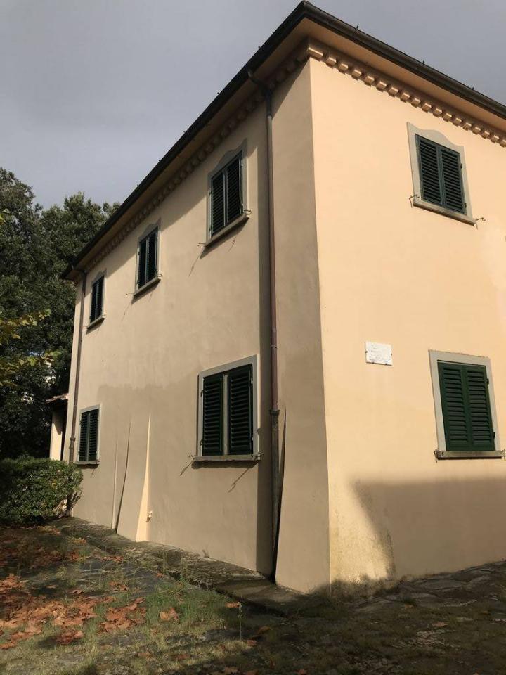 casa indipendente in affitto a Forte dei Marmi