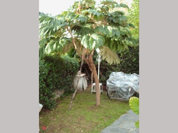 casa indipendente in affitto a Forte dei Marmi