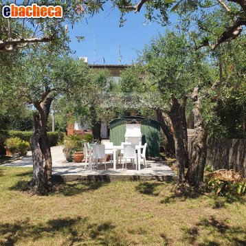 casa indipendente in affitto a Forte dei Marmi