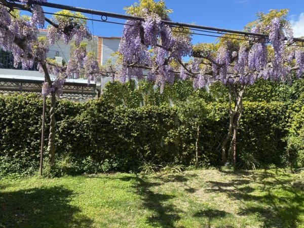 casa indipendente in affitto a Forte dei Marmi