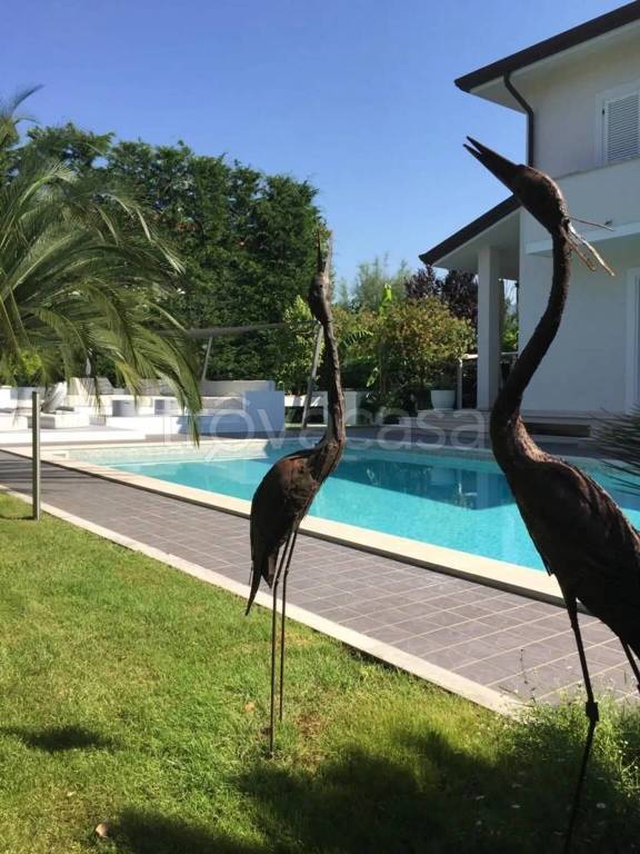 casa indipendente in affitto a Forte dei Marmi