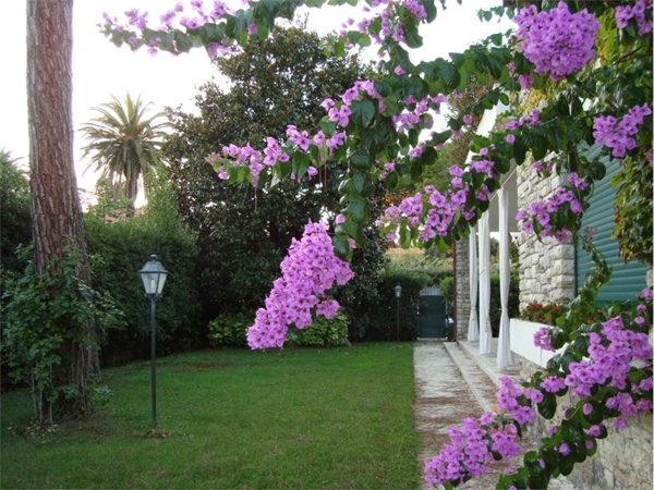 casa indipendente in affitto a Forte dei Marmi