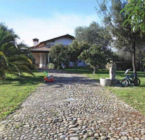 casa indipendente in affitto a Forte dei Marmi