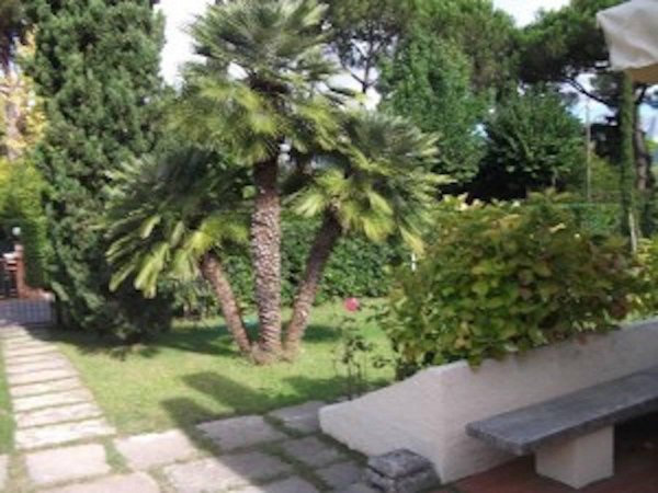 casa indipendente in affitto a Forte dei Marmi