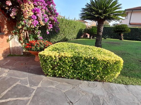 casa indipendente in affitto a Forte dei Marmi