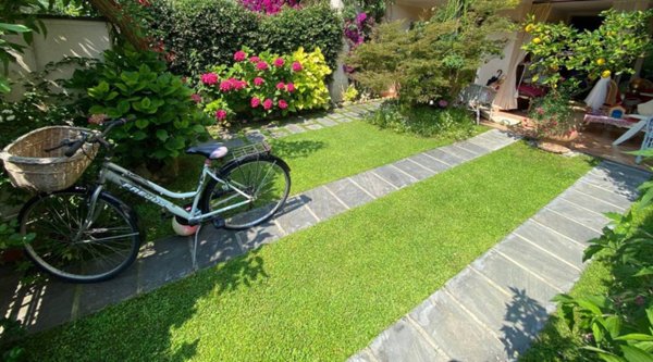 casa indipendente in affitto a Forte dei Marmi