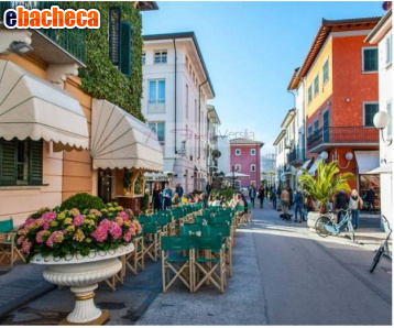 locale commerciale in affitto a Forte dei Marmi