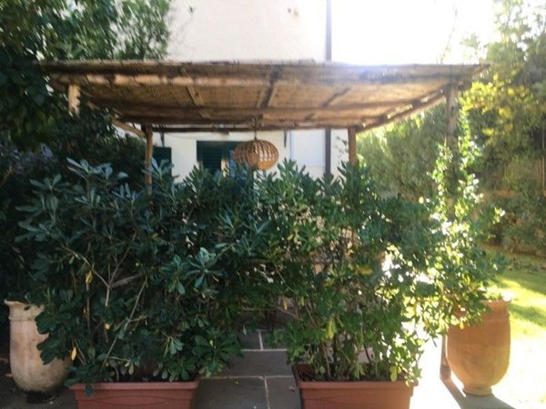 appartamento in affitto a Forte dei Marmi