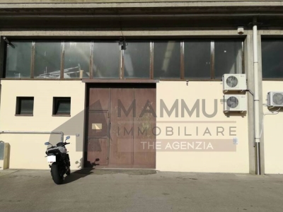 casa semindipendente in affitto a Forte dei Marmi