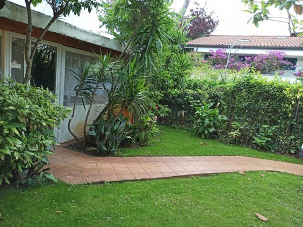 casa indipendente in affitto a Forte dei Marmi in zona Vittoria Apuana