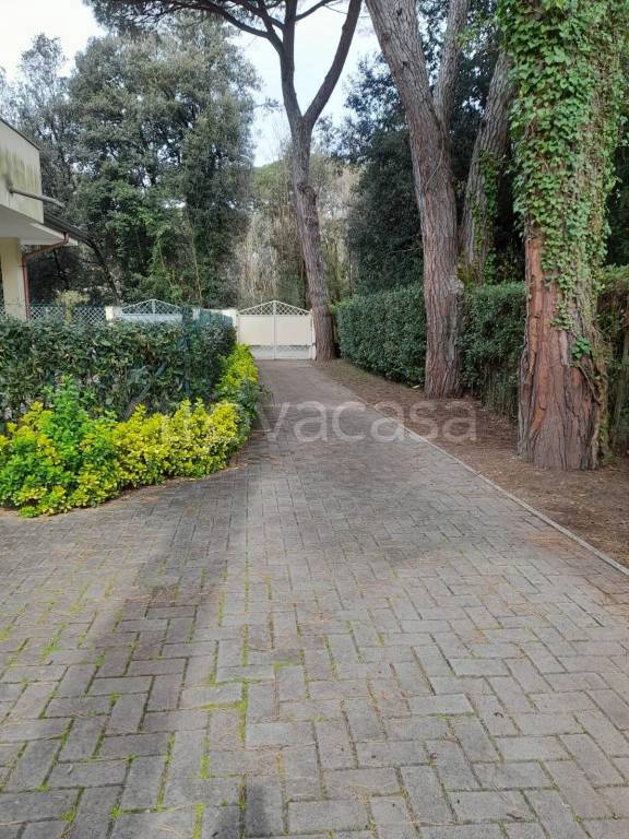 appartamento in affitto a Forte dei Marmi in zona Vittoria Apuana