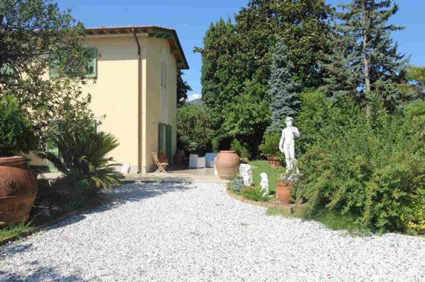 casa indipendente in affitto a Forte dei Marmi