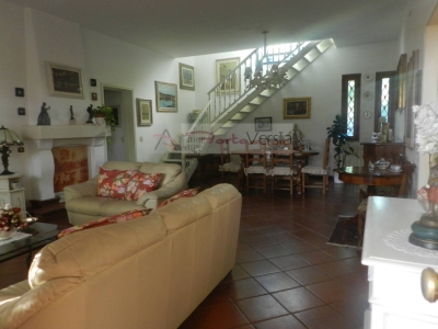 casa indipendente in affitto a Forte dei Marmi