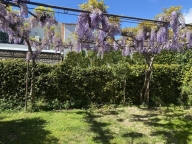 casa indipendente in affitto a Forte dei Marmi