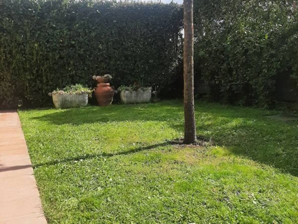 casa indipendente in affitto a Forte dei Marmi in zona Vittoria Apuana