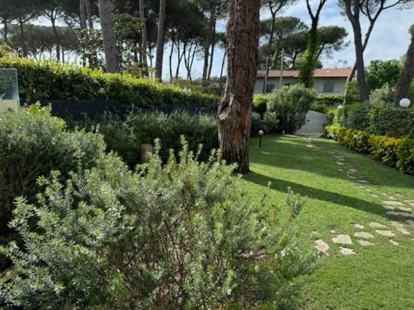 casa indipendente in affitto a Forte dei Marmi in zona Vittoria Apuana