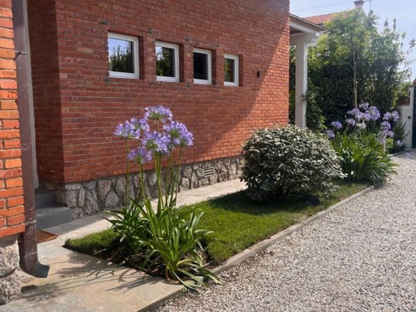 casa indipendente in affitto a Forte dei Marmi