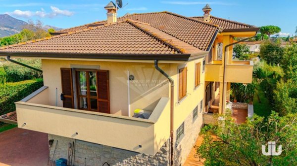 casa indipendente in affitto a Forte dei Marmi