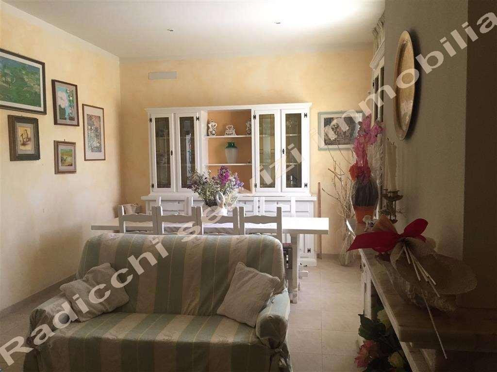 casa indipendente in affitto a Forte dei Marmi