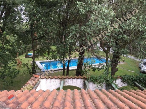 casa indipendente in affitto a Forte dei Marmi