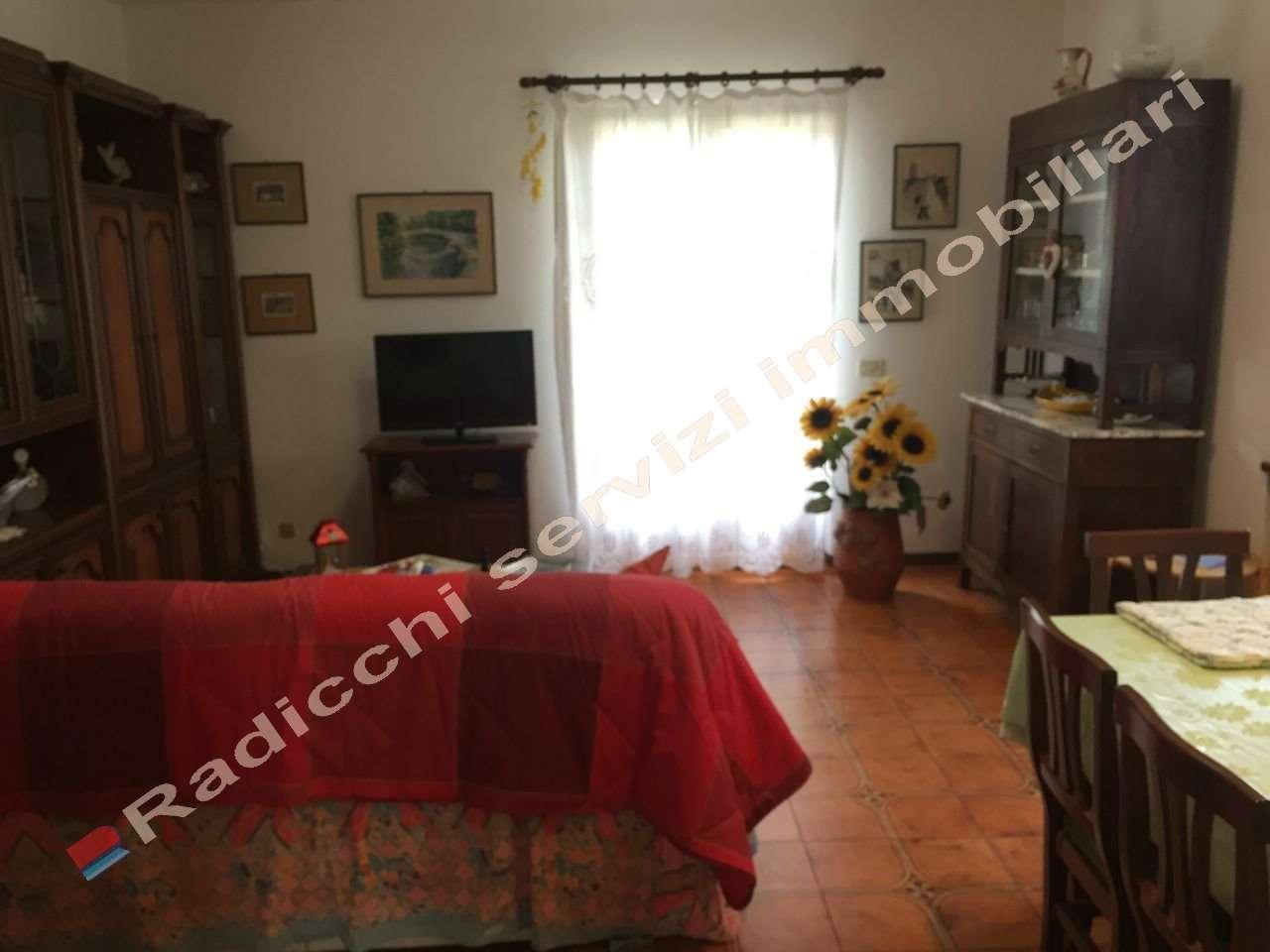 casa indipendente in affitto a Forte dei Marmi