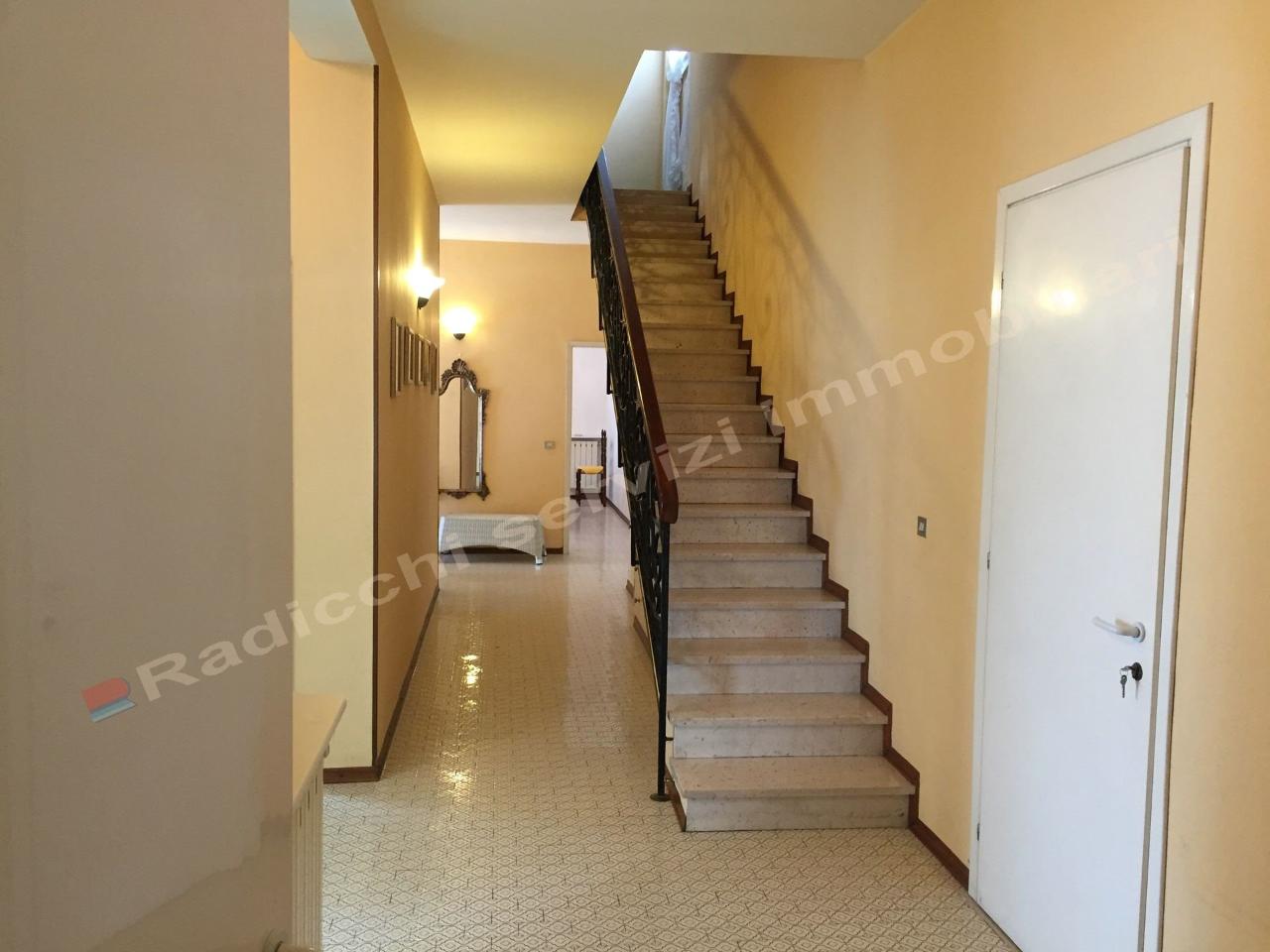casa indipendente in affitto a Forte dei Marmi