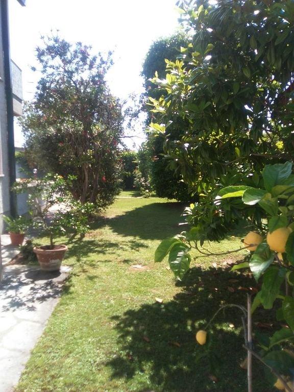 casa indipendente in affitto a Forte dei Marmi