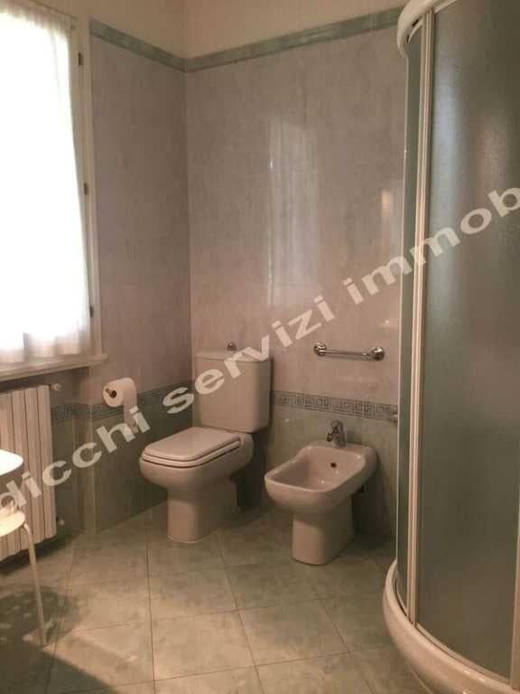 casa indipendente in affitto a Forte dei Marmi