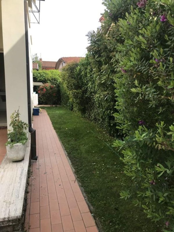 casa indipendente in affitto a Forte dei Marmi