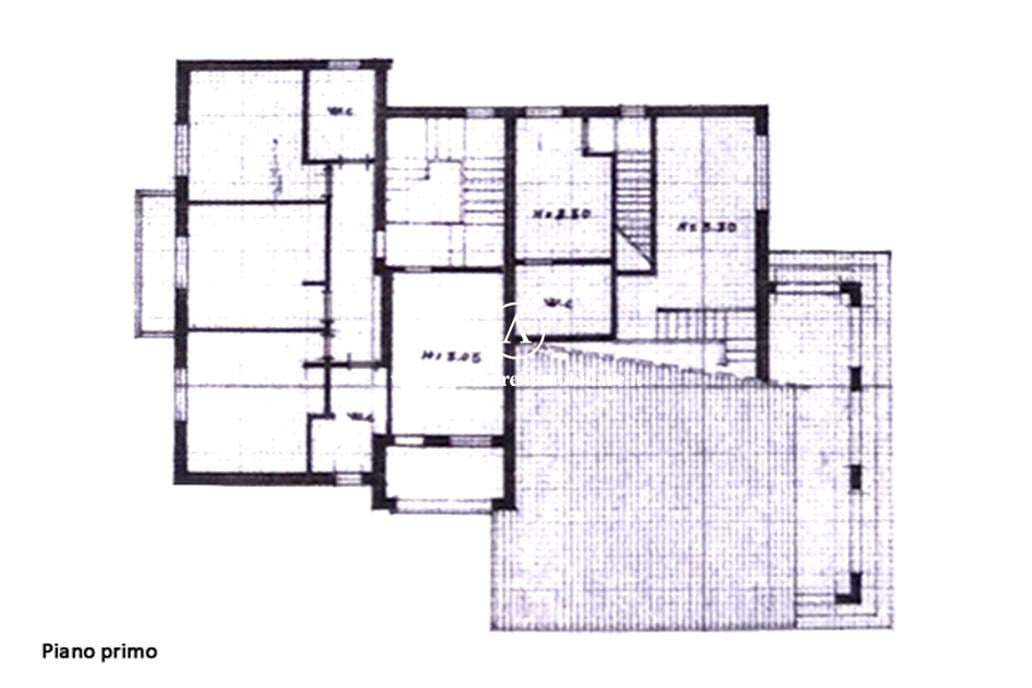 casa indipendente in affitto a Forte dei Marmi